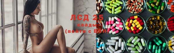 индика Абаза
