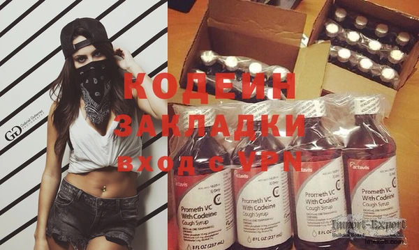индика Абаза