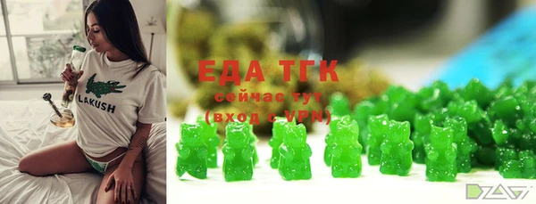 индика Абаза