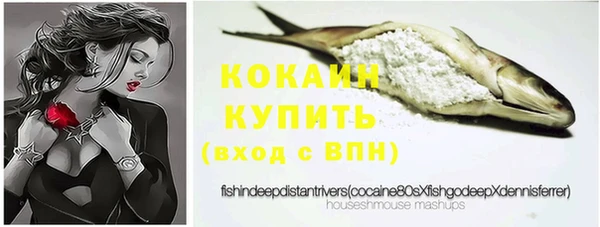 индика Абаза