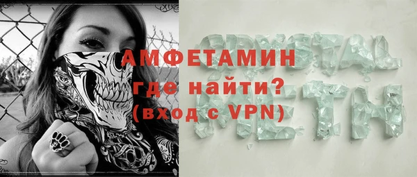 индика Абаза