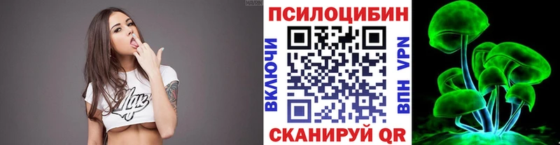 мега зеркало  Черноголовка  Галлюциногенные грибы Magic Shrooms  купить наркотик 