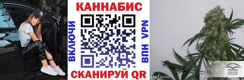 продажа наркотиков  Черноголовка  Бошки Шишки конопля 